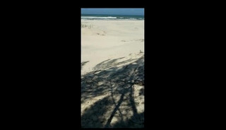 Breno Garcia sucking and getting fucked on beach by bear