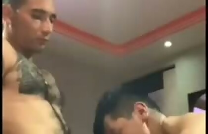 Video 595