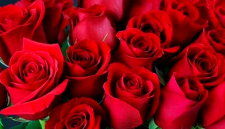 Bangla choto golpo beautiful mature saree chachi cheating hasband full story in Bangla audio story